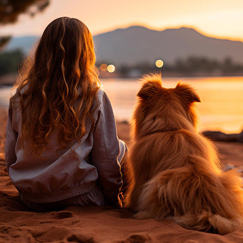 Pet Paradise